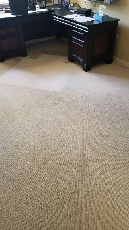 Office carpet beside a desk with one cleaned lane