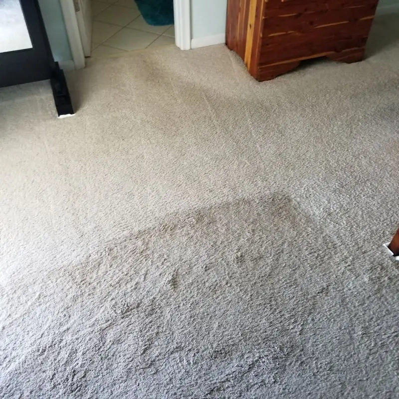 Pale carpet with a freshly cleaned lane beside untouched pile