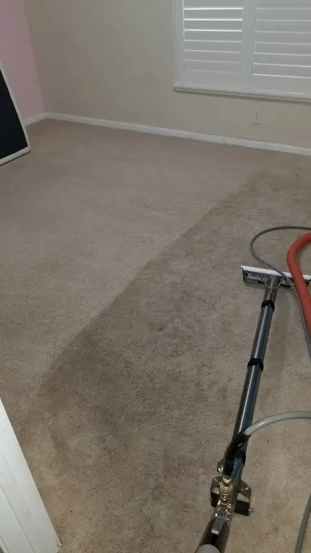 Steam wand mid-pass on grey carpet, the cleaned lane lighter than the pile beside it